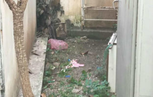 «Έκοψα μόνη μου τον ομφάλιο λώρο, το τύλιξα σε σεντόνι, το έβαλα σε σακούλα και το πέταξα»: Σοκ από την ομολογία της 22χρονης που πέταξε το μωρό της