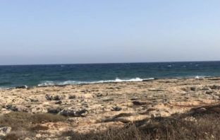 Σε ασφυξία συνεπεία πνιγμού οφείλεται ο θάνατος της Νίκης Χριστοφίδη